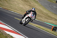 Advanced Group White Bikes